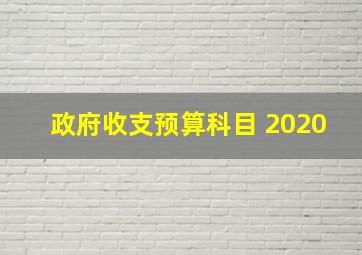 政府收支预算科目 2020